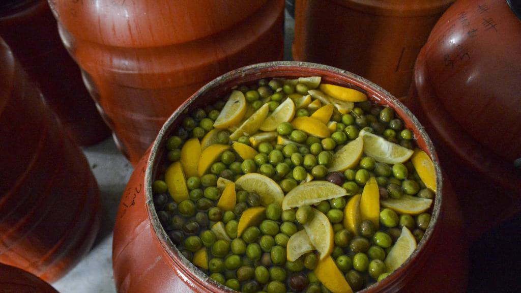Olives fermenting