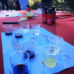 Saffron tasting