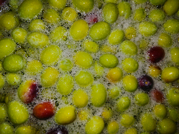 green olives fermenting