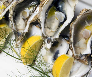 oysters with saffron and fennel
