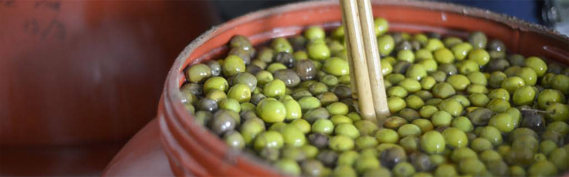 Australian olives in drum, credit Dannika Bonser and The Weekly Times